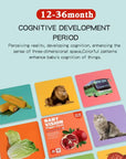 Visual Stimulation Cards