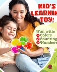 Color Sorting Toy