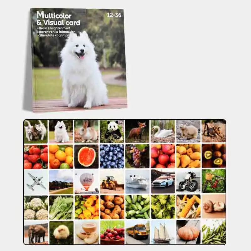Visual Stimulation Cards